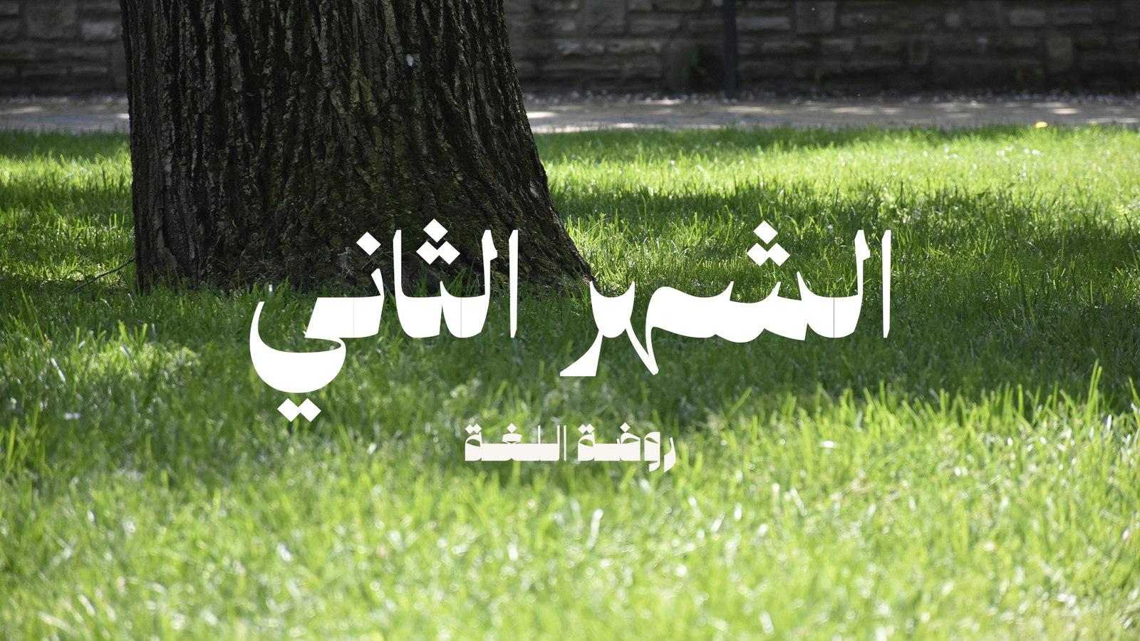 Second Month – Units 2 & 3